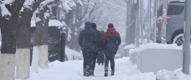 Ertaga ba’zi hududlarda yomg‘ir va qor yog‘adi1