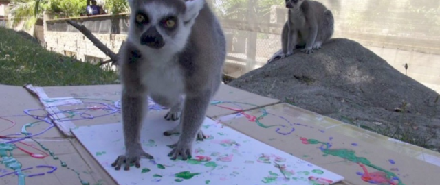 Nyu-Yorkdagi “zoopark”da hayvonlar chizgan rasmlar kimoshdi savdosiga qo‘yildi (foto)4