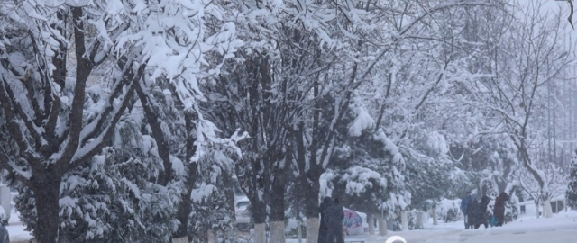 Yanvar oyi kuzatuvlar tarixidagi eng issiq oy bo‘ldi1