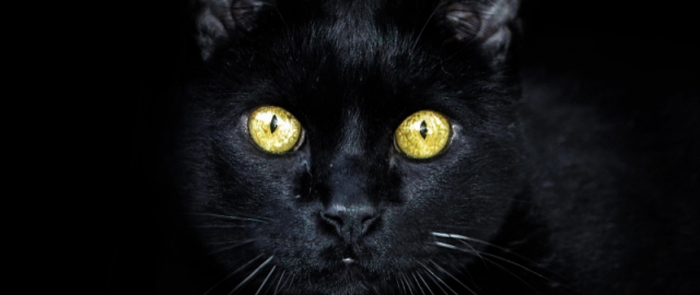 Yaponiyaning o‘zgacha odatlari: oilaviy vanna, qo‘l yuvmaslik, “qiyshiq tabassum” Yaponiyaning o‘zgacha odatlari: oilaviy vanna, qo‘l yuvmaslik, “qiyshiq tabassum”8