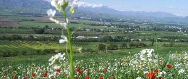 Dam olish kunlari ayrim hududlar 27 darajagacha isiydi