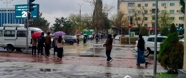 Ertaga respublika bo‘ylab nam ob-havo kuzatiladi