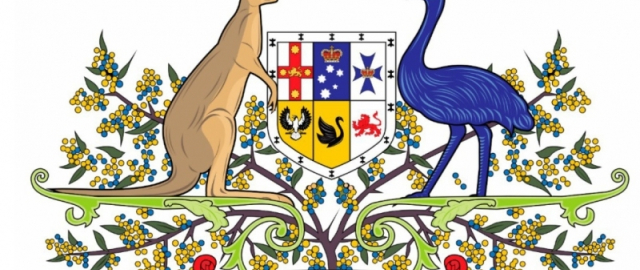 Odamlar va qushlar jangi: “Emu urushi”5