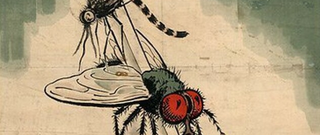 Odamlar va qushlar jangi: “Emu urushi”6