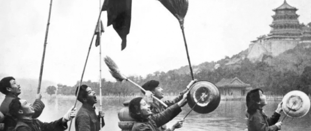 Odamlar va qushlar jangi: “Emu urushi”7