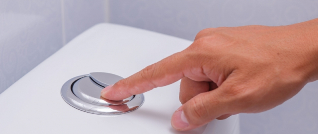 Odamlarga o‘lish, eshaklarga vannada uxlash mumkin emas: 17 ta noodatiy qonunlar Odamlarga o‘lish, eshaklarga vannada uxlash mumkin emas: 17 ta noodatiy qonunlar13