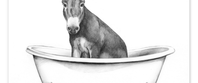 Odamlarga o‘lish, eshaklarga vannada uxlash mumkin emas: 17 ta noodatiy qonunlar1