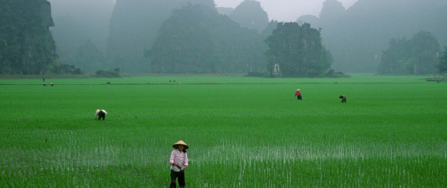 Odamlarga o‘lish, eshaklarga vannada uxlash mumkin emas: 17 ta noodatiy qonunlar Odamlarga o‘lish, eshaklarga vannada uxlash mumkin emas: 17 ta noodatiy qonunlar3