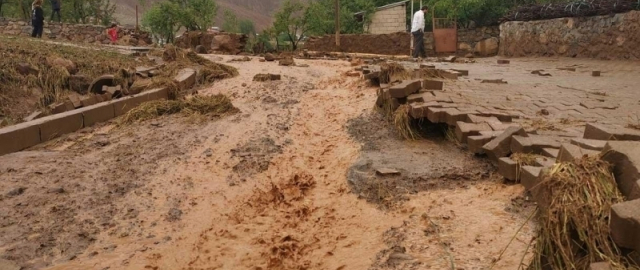 Ertaga bir nechta joylarda yomg‘ir yog‘adi1