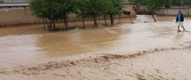 Ertaga havo harorati qanaqa bo‘ladi?1