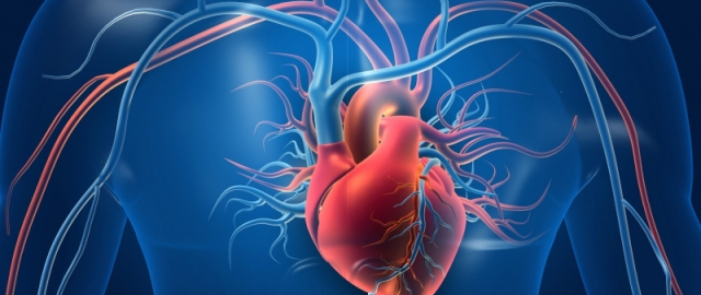 Fastfud – zarar. Xo‘sh, nega? Fastfud – zarar. Xo‘sh, nega?3