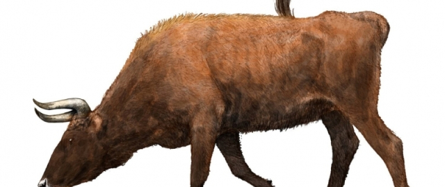 Mamontdan tortib dinozavrgacha: dahshatli bo‘rilardan keyin navbat kimga? Mamontdan tortib dinozavrgacha: dahshatli bo‘rilardan keyin navbat kimga?3