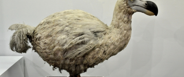 Mamontdan tortib dinozavrgacha: dahshatli bo‘rilardan keyin navbat kimga? Mamontdan tortib dinozavrgacha: dahshatli bo‘rilardan keyin navbat kimga?9