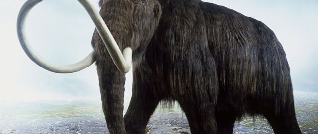 Mamontdan tortib dinozavrgacha: dahshatli bo‘rilardan keyin navbat kimga? Mamontdan tortib dinozavrgacha: dahshatli bo‘rilardan keyin navbat kimga?5