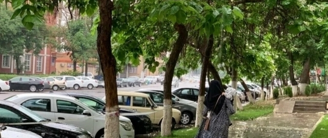 O‘zbekistonga salqin va nam havo massalari kirib keladi