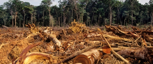 Parallel olam: tashqi dunyodan butkul uzilgan odamlar17