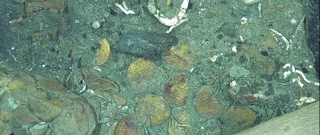 3 asr oldin Karib dengizi tubiga cho‘kkan afsonaviy xazina topildi – OAV 3 asr oldin Karib dengizi tubiga cho‘kkan afsonaviy xazina topildi – OAV1