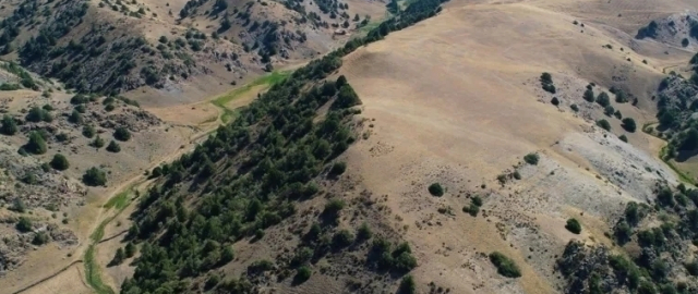 Iordaniyada yo‘qolgan shahar topildi1