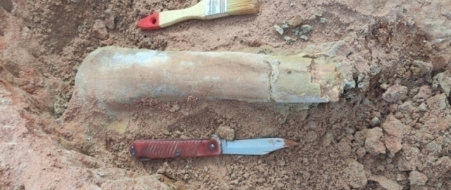 Markaziy Osiyoda dunyoning hech bir joyida uchramaydigan dinozavr qoldiqlari topildi1