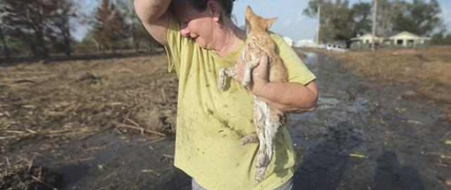 Ustiga meteorit qulagan, samolyotdan otilib ketgan, Apple’dan voz kechgan va ikki yadroviy qurol portlashidan jabrlangan – dunyodagi eng omadsiz odamlar3