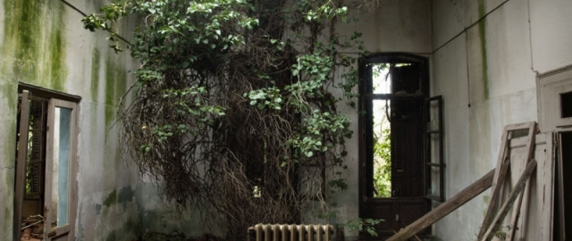 Yer yuzidagi borish mumkin bo‘lmagan 7 hudud Yer yuzidagi borish mumkin bo‘lmagan 7 hudud15