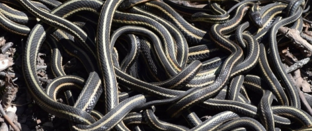 Yer yuzidagi borish mumkin bo‘lmagan 7 hudud Yer yuzidagi borish mumkin bo‘lmagan 7 hudud9