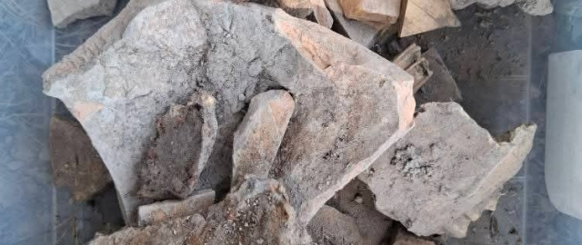 “Bibixonim” qal’asidan temuriylar davriga oid tangalar topildi1