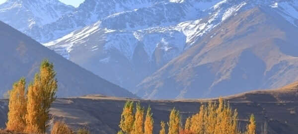 Ertaga havo harorati pasayadi