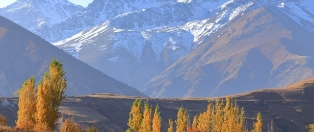 Ertaga havo harorati pasayadi