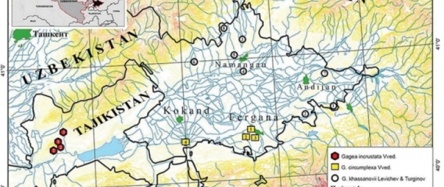 Farg‘ona vodiysida yangi o‘simlik turi aniqlandi2