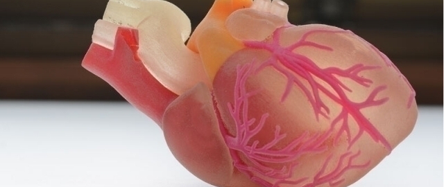 “Infarkt”dan keyin yurakni tiklash usuli topildi