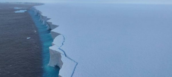 Dunyodagi eng yirik aysberg 67 foiz maydonini yo‘qotdi