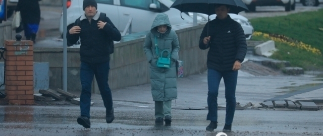 Ertaga yomg‘ir yog‘adi