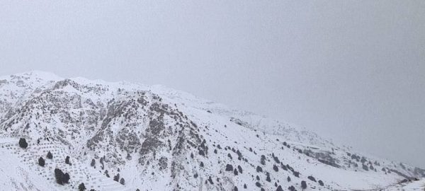 “Qamchiq” dovoni yopildi “Qamchiq” dovoni yopildi