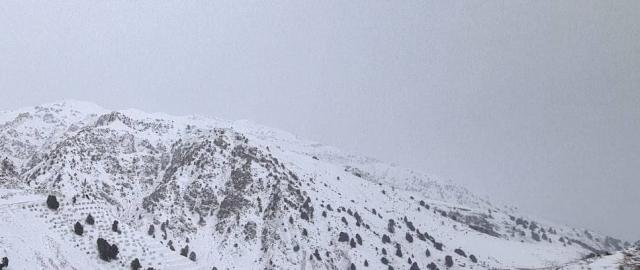 “Qamchiq” dovoni yopildi